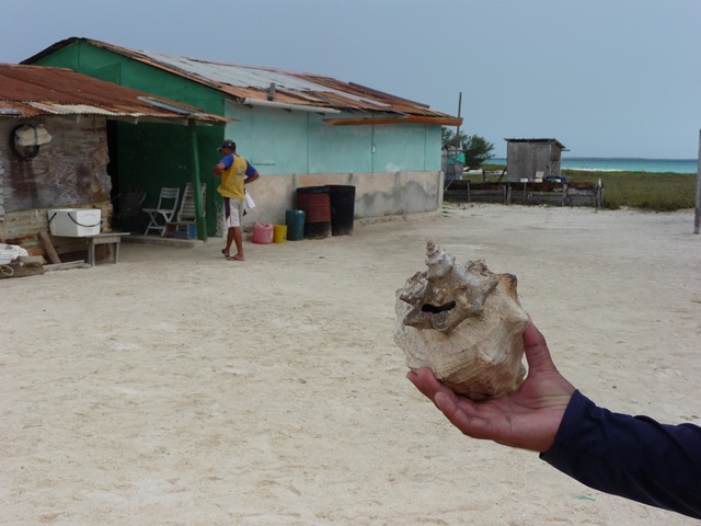 [P10602522.jpg]