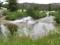 Warren Creek