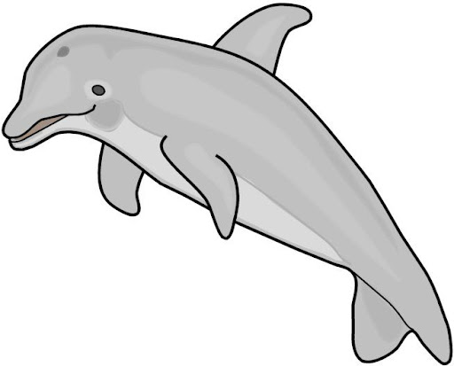 delfin tattoo. images delfin tattoo.
