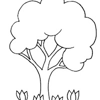 arbol-flores.jpg