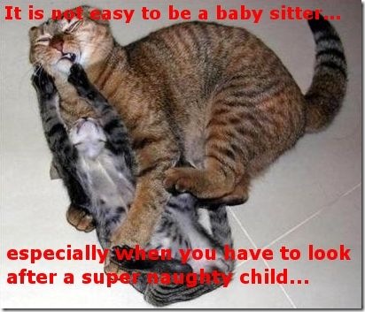 Funny Pictures: How I play with my baby sitter