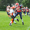 DSC_7237.JPG