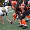 DSC_8517.JPG