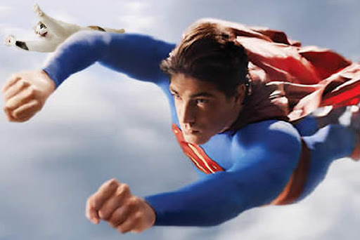http://lh6.ggpht.com/_Di5YQlp0jV8/S4_zP11HLLI/AAAAAAAABM0/C0_fSqGxfNM/Superman1.jpg