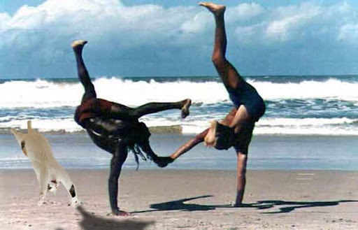 http://lh6.ggpht.com/_Di5YQlp0jV8/S4_zQsWQC5I/AAAAAAAABM4/zL_S8E5X62g/Capoeira1.jpg
