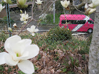 IMG_0339.jpg