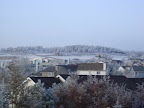 DSC01495.JPG