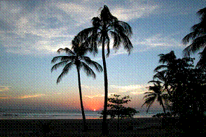 [clip_image002[11].gif]