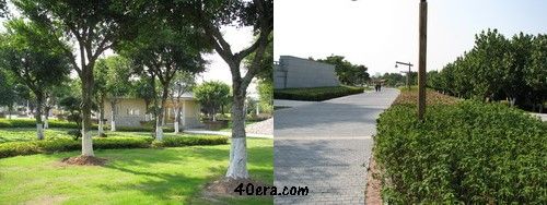 廈門園博苑,往杏林閣的路上