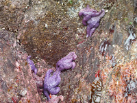 SANY0038.JPG