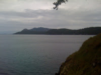IMG_0590.JPG
