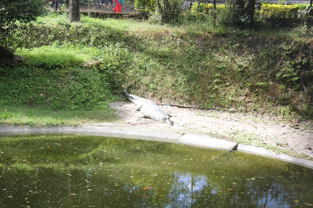 [IMG_25503.jpg]