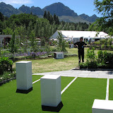 grass design