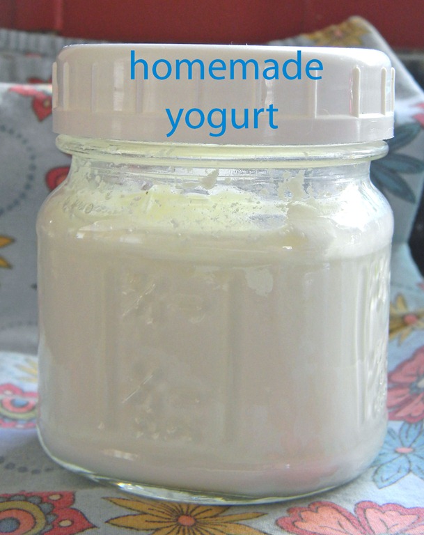 [homemade yogurt[7].jpg]
