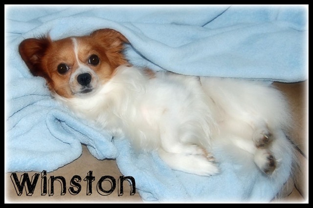 [Winston wake up[4].jpg]