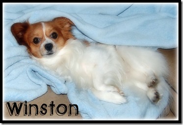 Winston wake up