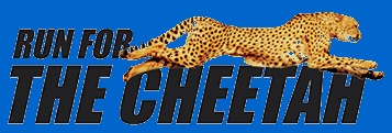 [cheetah[4].jpg]