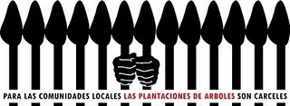 [forestacionesno_2010_sp_2[4].jpg]