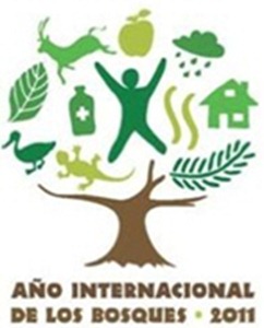 año bosques grande año bosques grande