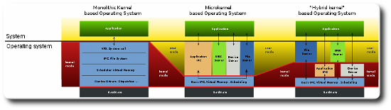 photo of different kernel designs
