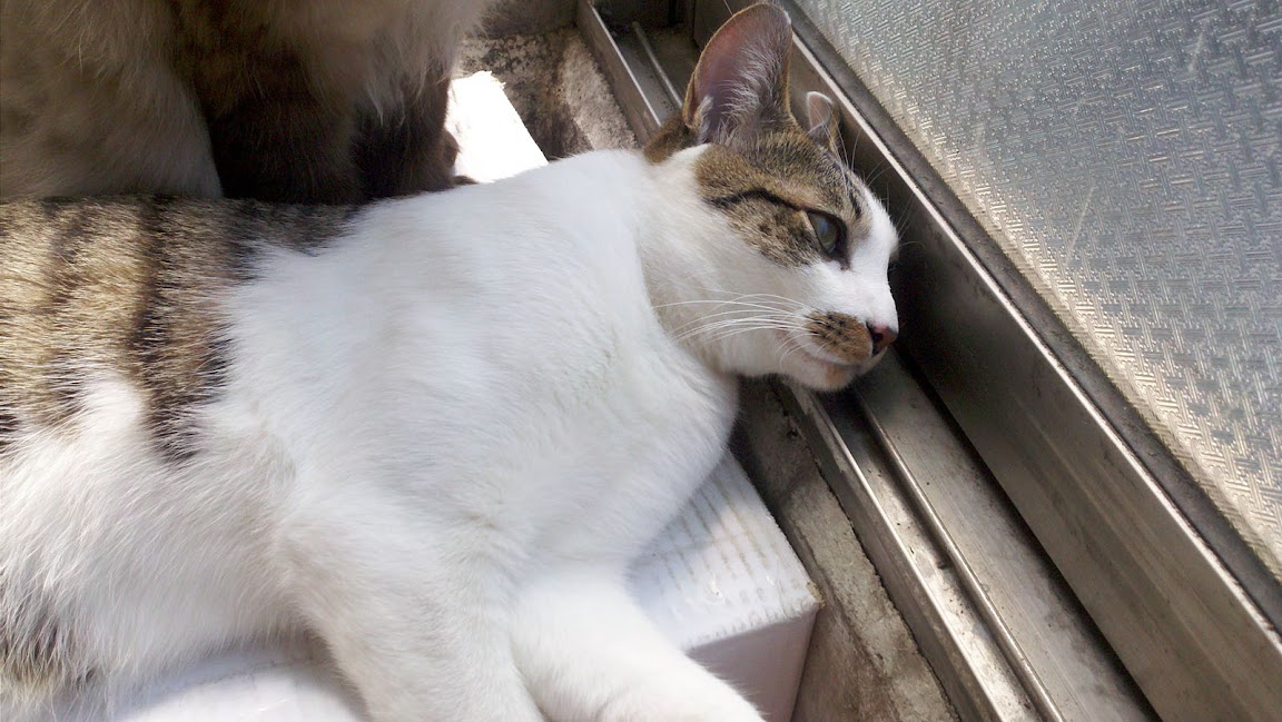 2010-05-08_14-30-55_401.jpg