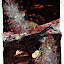 DG1 DSC 0022 web DG1