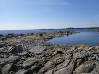 IMGP0009.JPG Photo