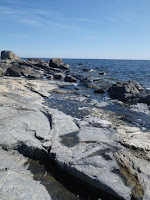 IMGP0011.JPG Photo