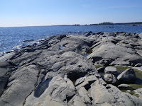 IMGP0035.JPG Photo