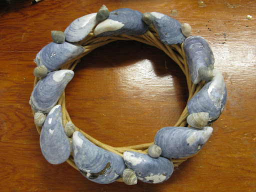 seashell