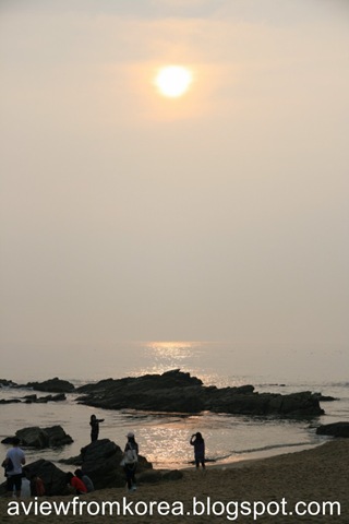 [IMG_82601024x7685.jpg]