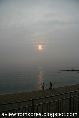 [IMG_82631024x7685.jpg]