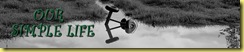 winterheadercopy3 winterheadercopy3