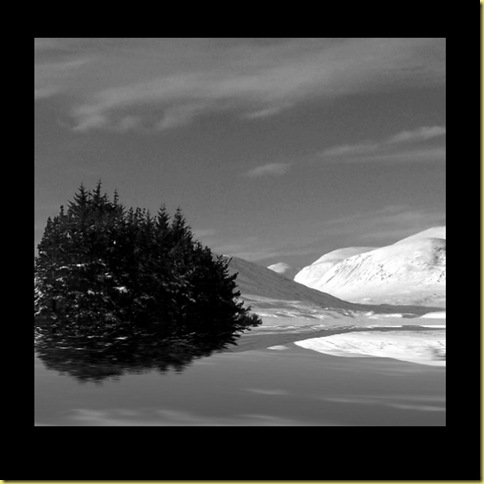 2010-01-291 2010-01-291