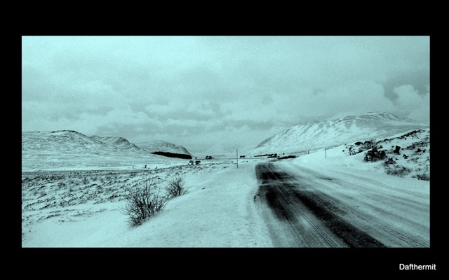[2010022643.jpg]