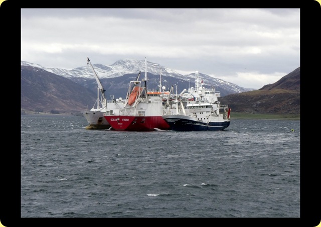 2010-04-05 2010-04-05