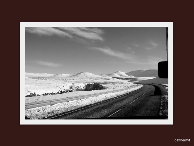 [200902112.jpg]
