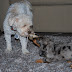 DSC_0118.JPG
