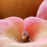 Donut peach macro