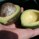 This avocado was kind of a rip off