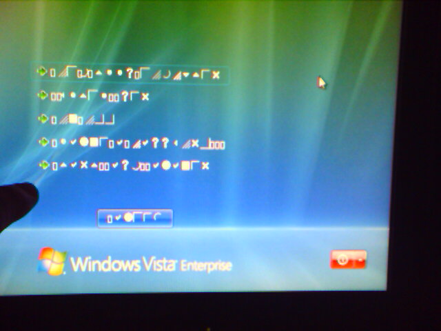 Vista crash 1