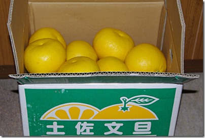 G-00523 G-00523
