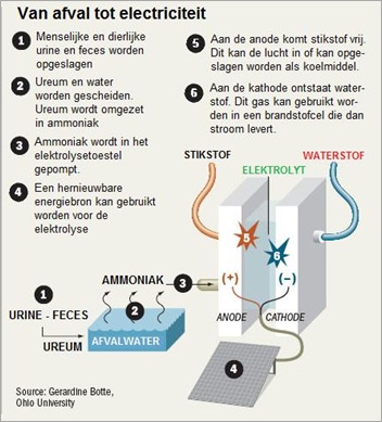 urinegas urinegas