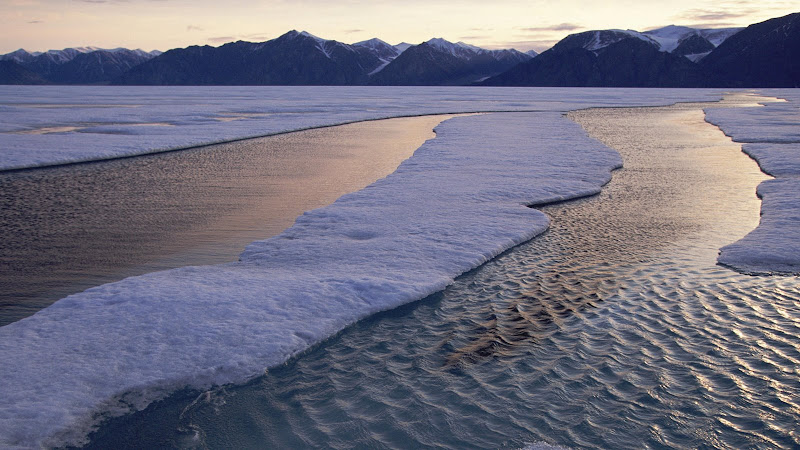 Arctic%20Waters%2C%20Baffin%20Island%2C%20Canada