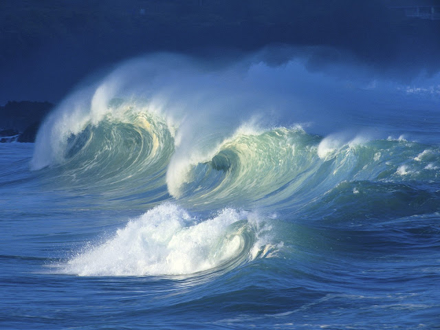Waimea%20Shore%20Break