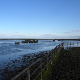 Hide 1. Von der Plattform nach Norden, Pferdekoppel, Illmitz &ndash; 11-Okt-2009