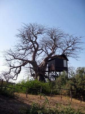 Tree house at Les Collines de Niassam resort in Senegal
