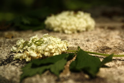 Flowers on a statue at Chateau St Julien l'Ars near Poitiers France
