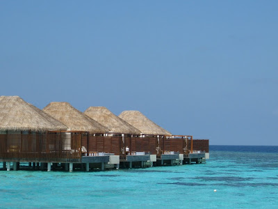IMG_5449.JPG