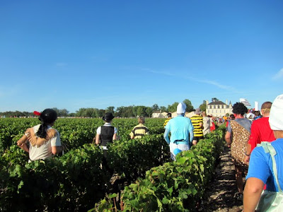 Runners in the vineyards during the Medoc Marathon in France
